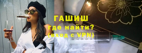 гашик Пестово