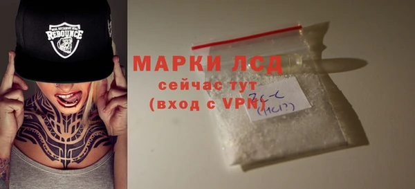 гашик Пестово