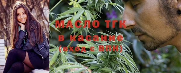 гашик Пестово