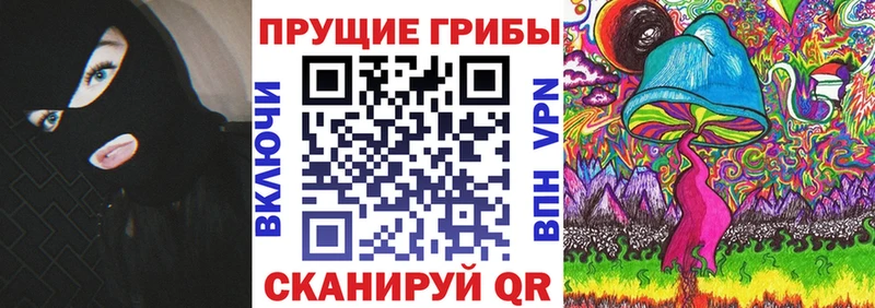 Галлюциногенные грибы Cubensis нарко площадка официальный сайт Чегем наркота